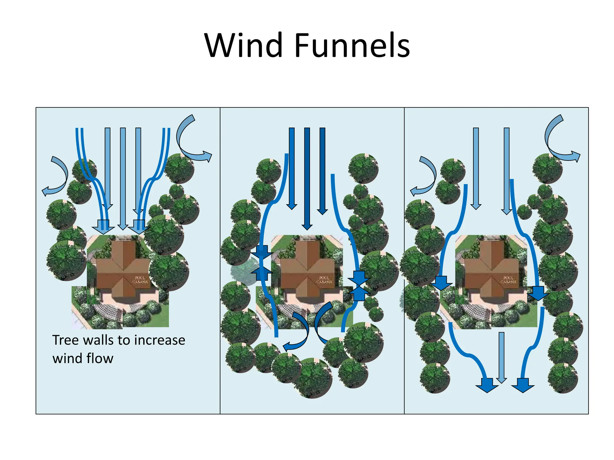 Wind Funnels
Tree walls to increase
wind flow
 