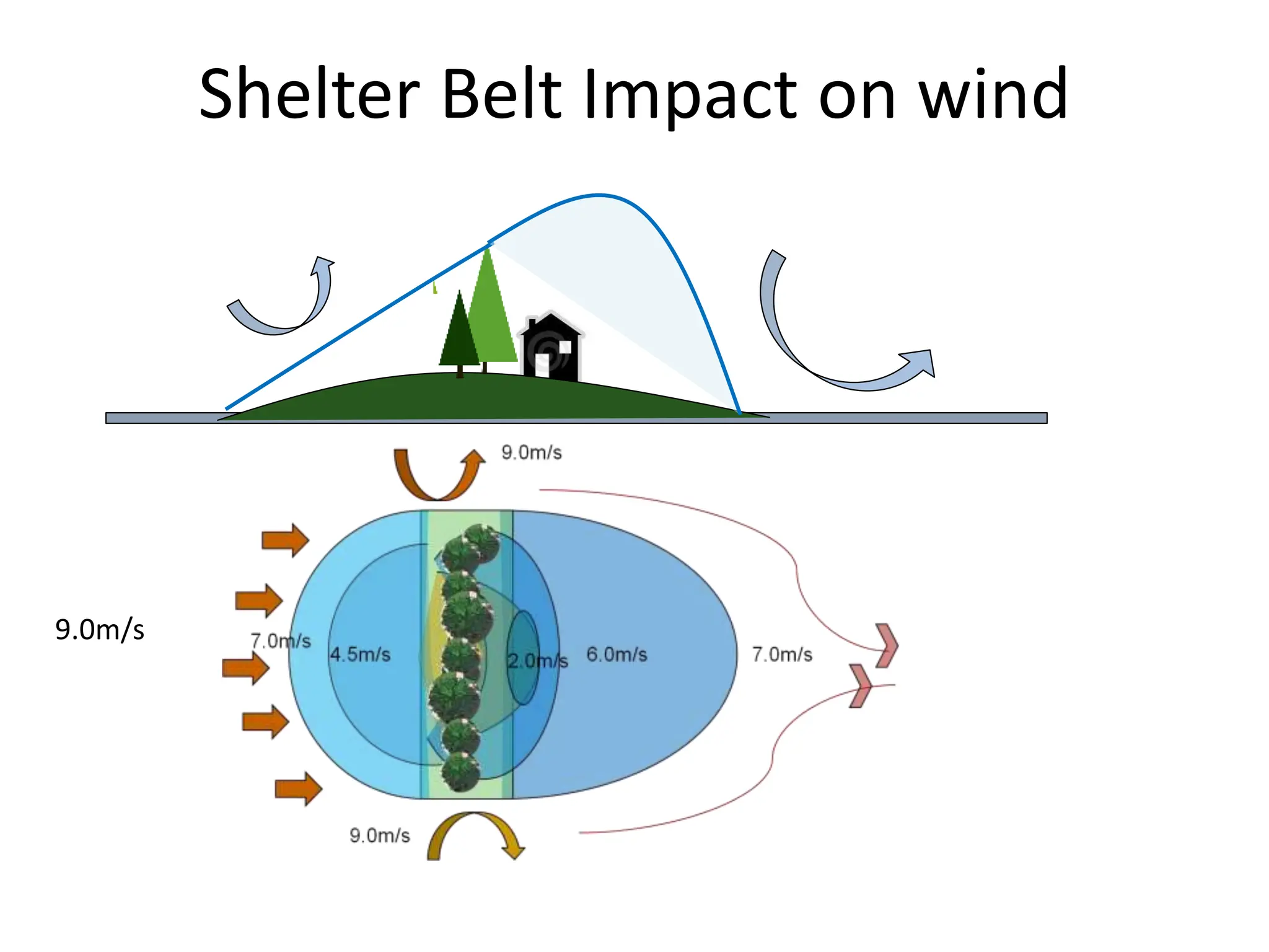 Shelter Belt Impact on wind
9.0m/s
 
