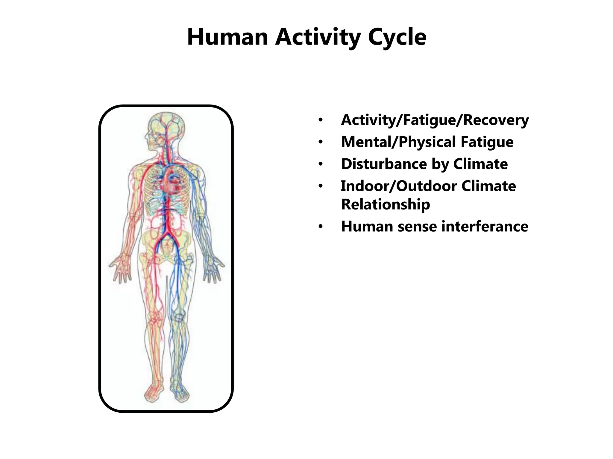 Human Activity Cycle
• Activity/Fatigue/Recovery
• Mental/Physical Fatigue
• Disturbance by Climate
• Indoor/Outdoor Climate
Relationship
• Human sense interferance
 