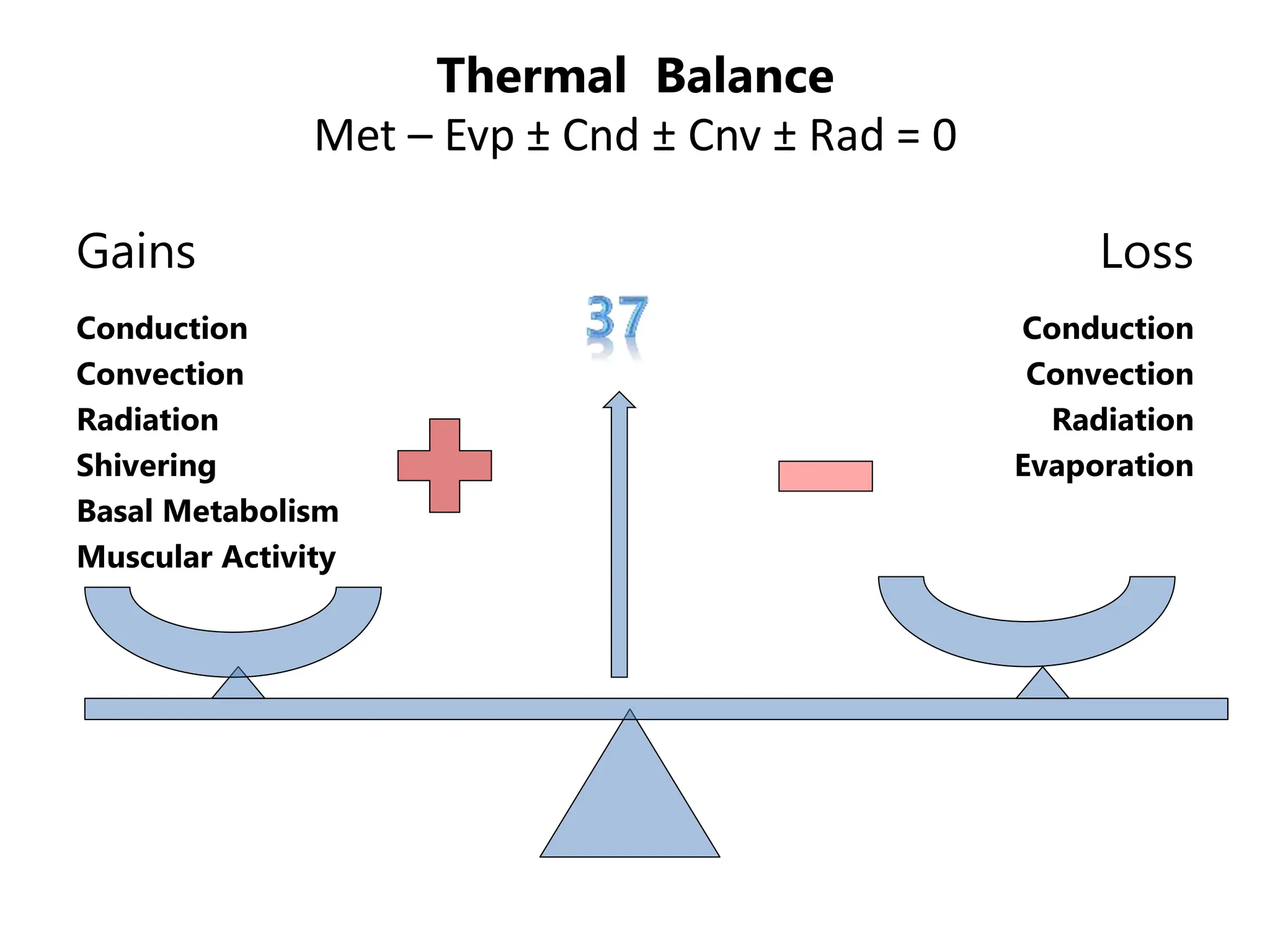 Thermal Balance
Met – Evp ± Cnd ± Cnv ± Rad = 0
Gains
Conduction
Convection
Radiation
Shivering
Basal Metabolism
Muscular Activity
Loss
Conduction
Convection
Radiation
Evaporation
 