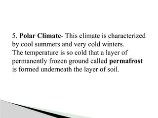 5. Polar Climate- This climate is characterized
by cool summers and very cold winters.
The temperature is so cold that a layer of
permanently frozen ground called permafrost
is formed underneath the layer of soil.
 