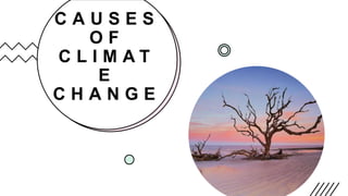 C A U S E S
O F
C L I M A T
E
C H A N G E
 