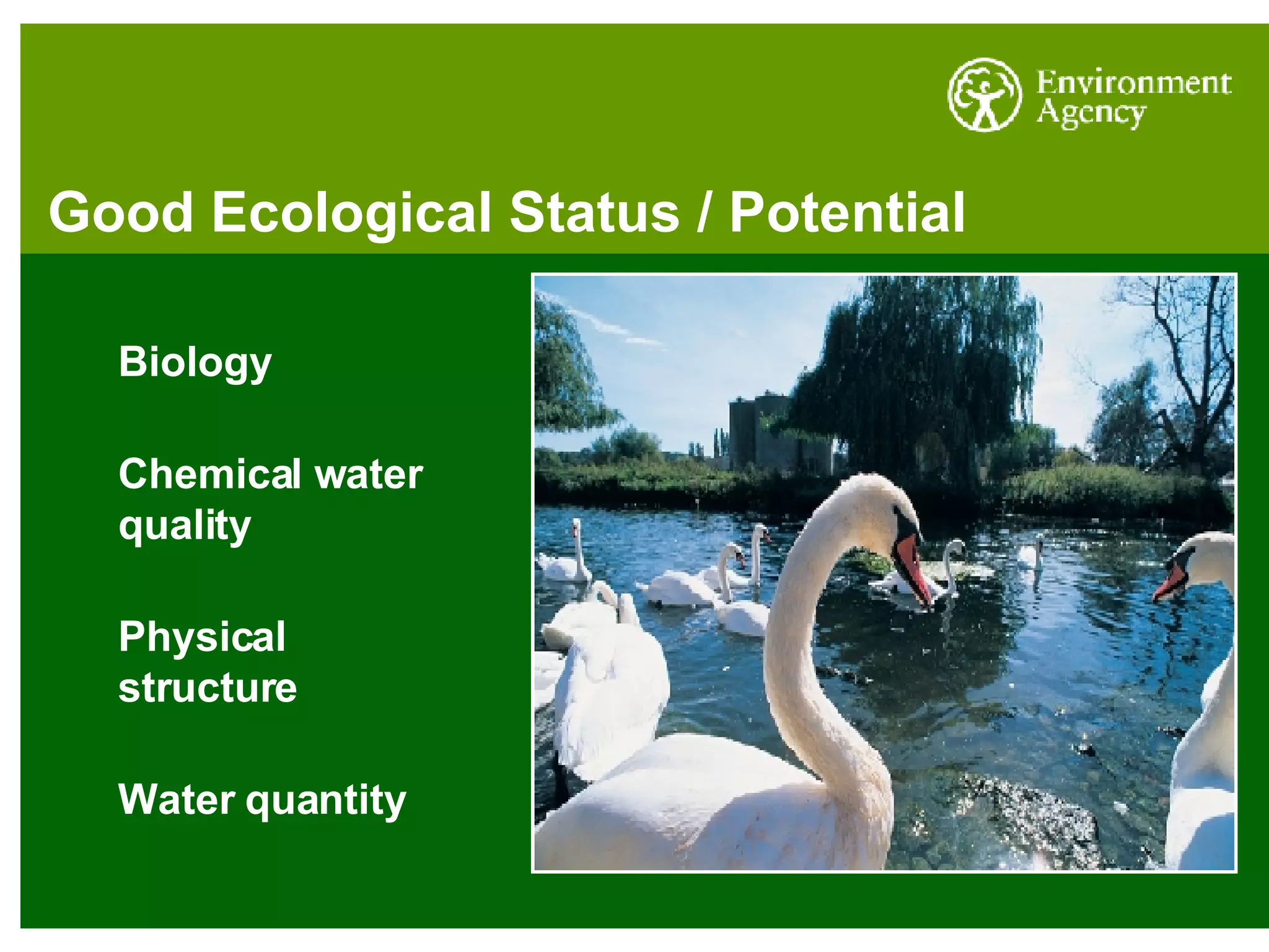 Good Ecological Status / Potential Biology Chemical water quality Physical structure Water quantity 