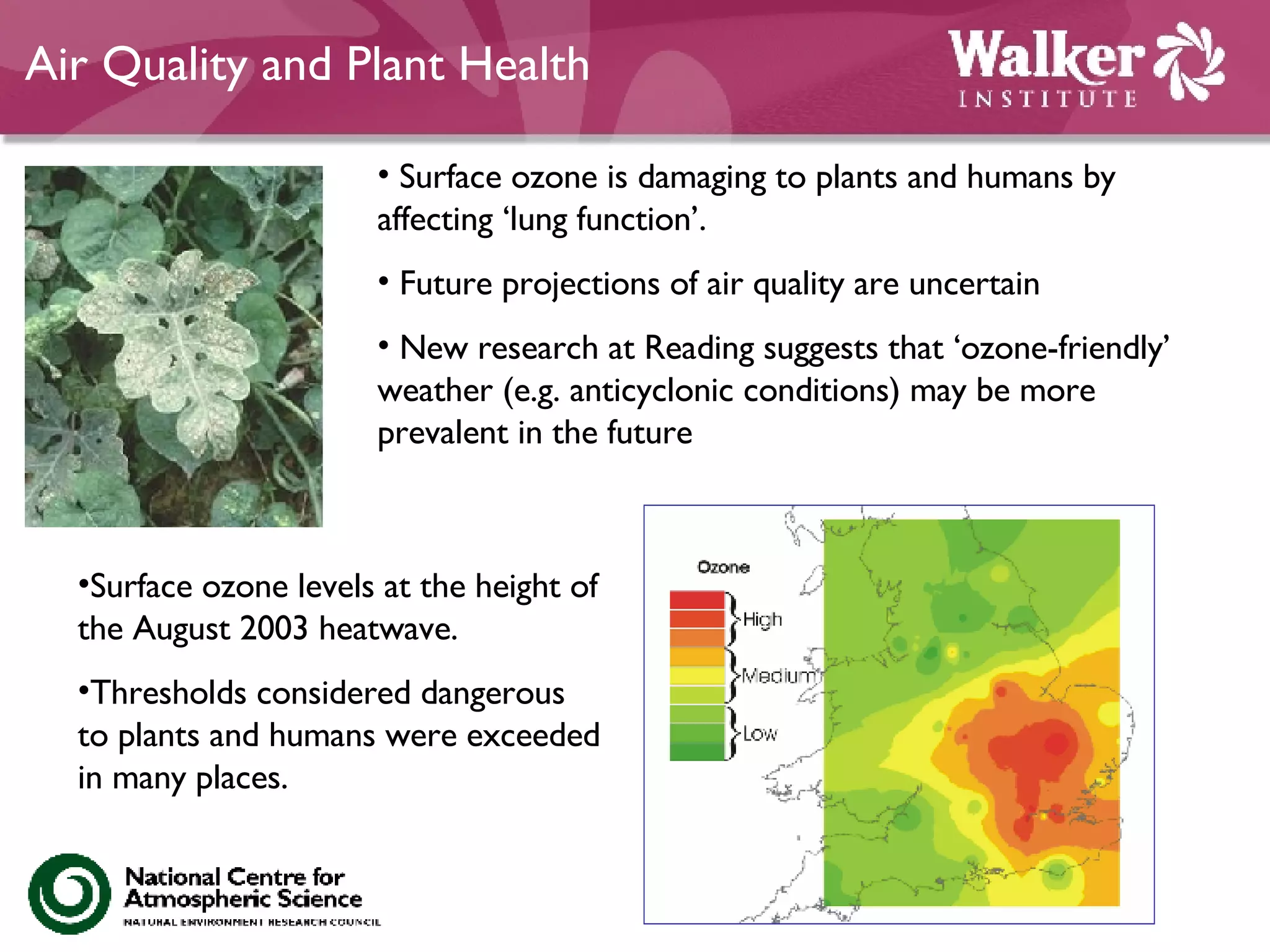 Air Quality and Plant Health Surface ozone is damaging to plants and humans by affecting ‘lung function’. Future projections of air quality are uncertain New research at Reading suggests that ‘ozone-friendly’ weather (e.g. anticyclonic conditions) may be more prevalent in the future Surface ozone levels at the height of the August 2003 heatwave.  Thresholds considered dangerous to plants and humans were exceeded in many places.  