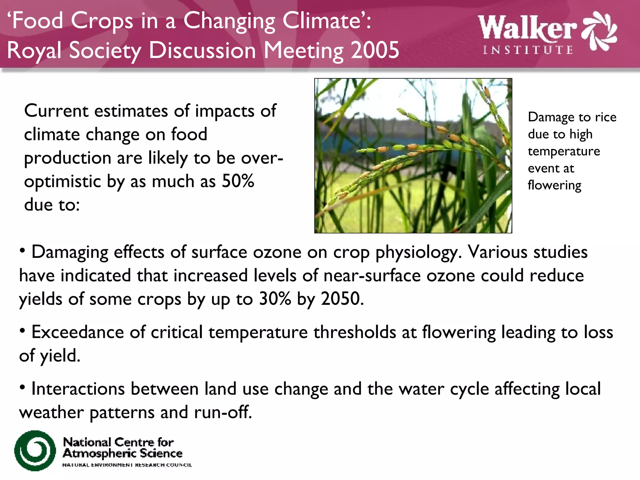 ‘ Food Crops in a Changing Climate’:  Royal Society Discussion Meeting 2005 Damage to rice due to high temperature event at flowering Current estimates of impacts of climate change on food production are likely to be over-optimistic by as much as 50% due to: Damaging effects of surface ozone on crop physiology. Various studies have indicated that increased levels of near-surface ozone could reduce yields of some crops by up to 30% by 2050. Exceedance of critical temperature thresholds at flowering leading to loss of yield. Interactions between land use change and the water cycle affecting local weather patterns and run-off.  