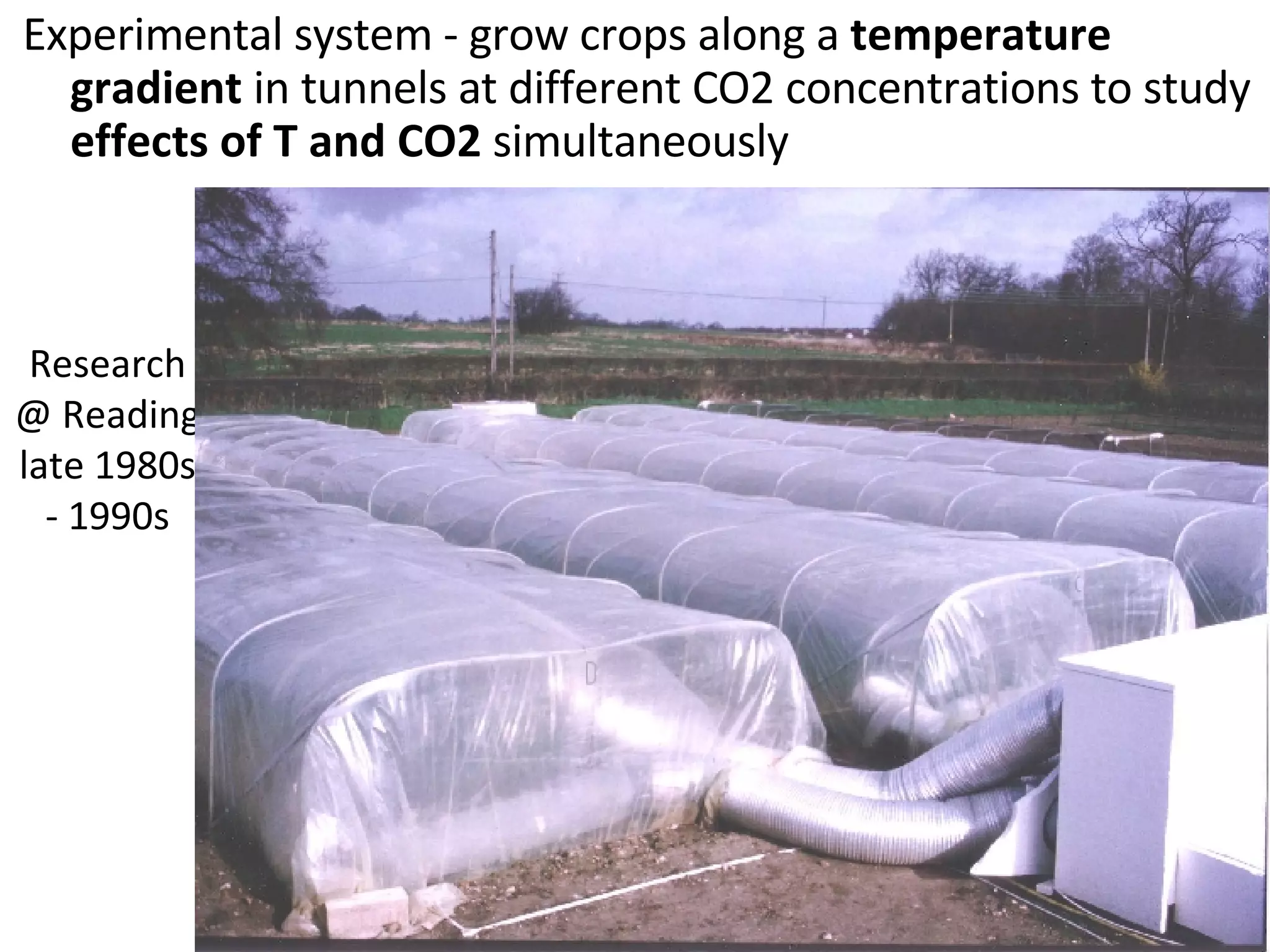 Research @ Reading late 1980s - 1990s Experimental system - grow crops along a  temperature gradient  in tunnels at different CO2 concentrations to study  effects of T and CO2  simultaneously 