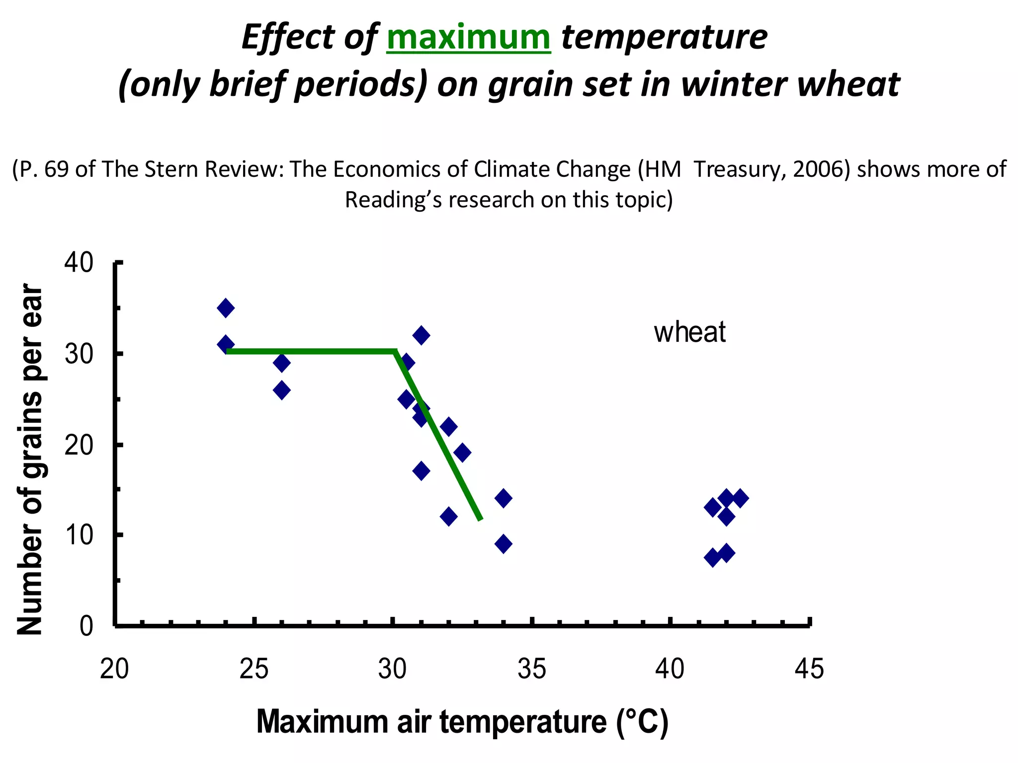 Effect of  maximum  temperature  (only brief periods) on grain set in winter wheat   (P. 69 of The Stern Review: The Economics of Climate Change (HM  Treasury, 2006) shows more of Reading’s research on this topic) 