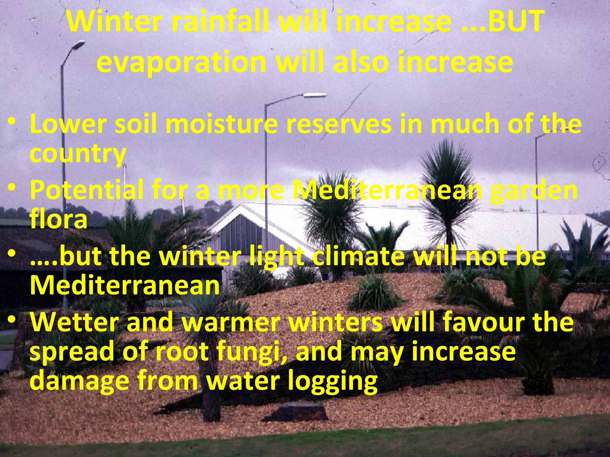 Winter rainfall will increase ...BUT evaporation will also increase Lower soil moisture reserves in much of the country Potential for a more Mediterranean garden flora … .but the winter light climate will not be Mediterranean Wetter and warmer winters will favour the spread of root fungi, and may increase damage from water logging 