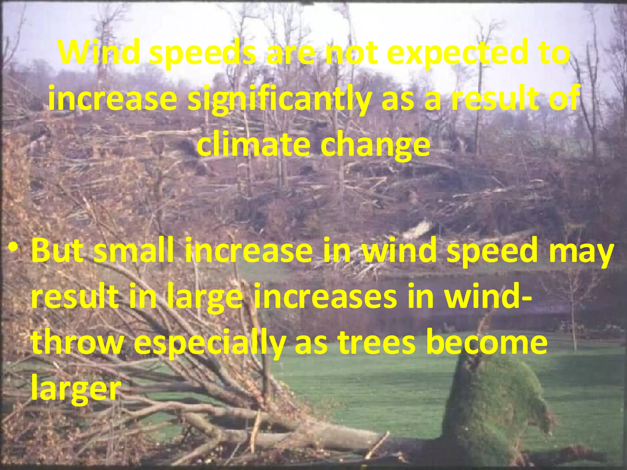 Wind speeds are not expected to increase significantly as a result of climate change But small increase in wind speed may result in large increases in wind-throw especially as trees become larger 