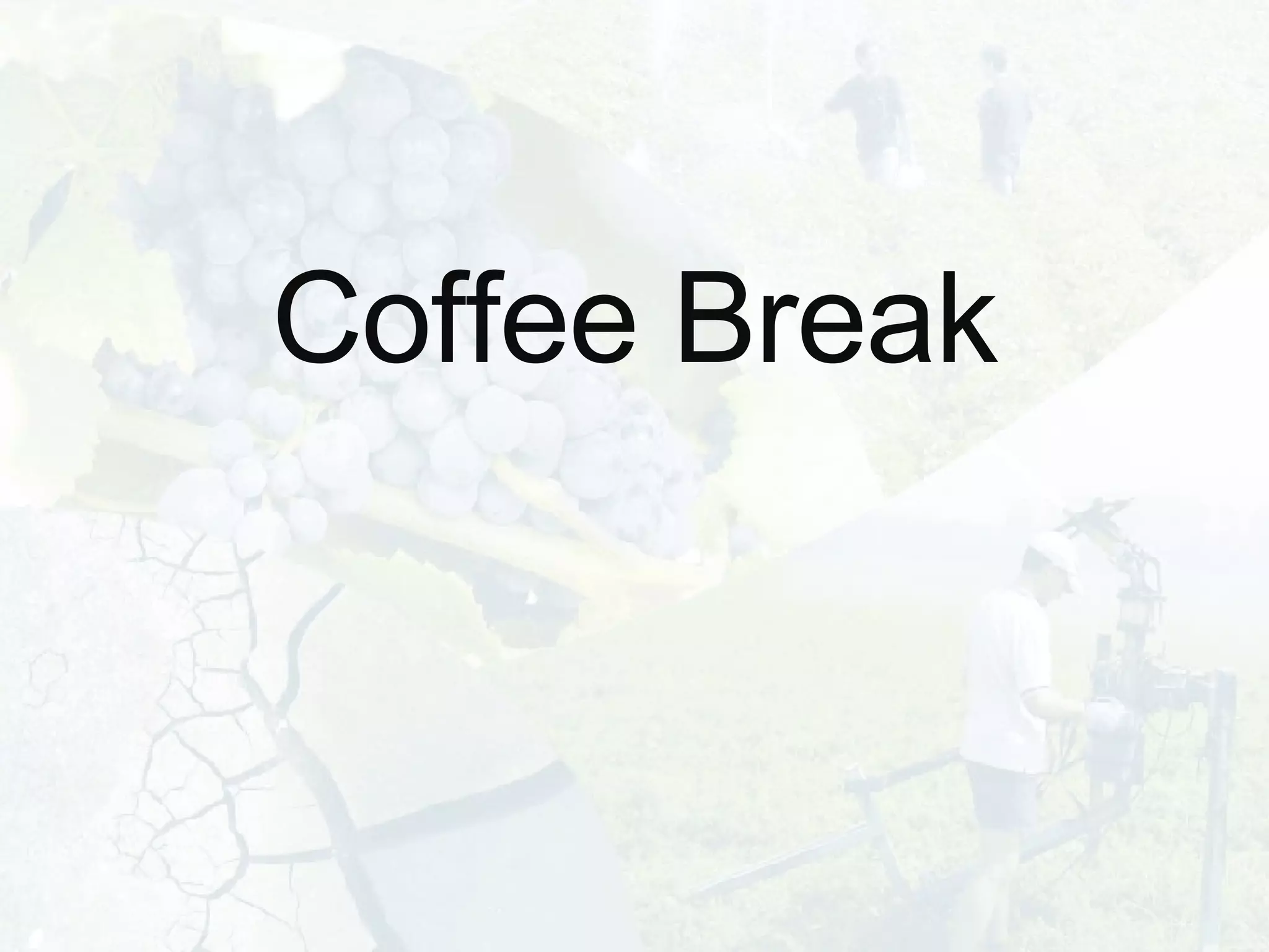 Coffee Break 