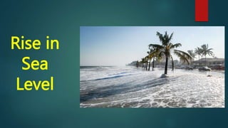 Rise in
Sea
Level
 