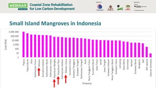 Small Island Mangroves in Indonesia
 