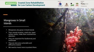 Mangroves in Small
Islands
• Mangroves also grow in Small Islands
• Their remote location, small size, lower
carbon stocks, make them received less
attention.
• They are important for biodiversity and
livelihoods
• They are also very vulnerable and
difficult to restore
• We need to invest more to protect them.
 