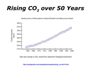 Rising CO 2  over 50 Years http://earthguide.ucsd.edu/globalchange/keeling_curve/01.html   See saw swings in CO 2  result from seasonal ‘biological production’  