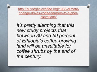 http://buyorganiccoffee.org/1988/climate-
change-drives-coffee-farmers-to-higher-
elevations/
It’s pretty alarming that this
new study projects that
between 39 and 59 percent
of Ethiopia’s coffee-growing
land will be unsuitable for
coffee shrubs by the end of
the century.
 