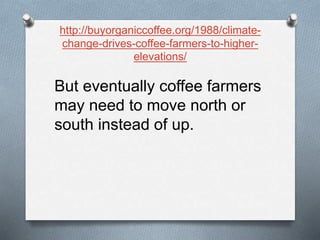 http://buyorganiccoffee.org/1988/climate-
change-drives-coffee-farmers-to-higher-
elevations/
But eventually coffee farmers
may need to move north or
south instead of up.
 