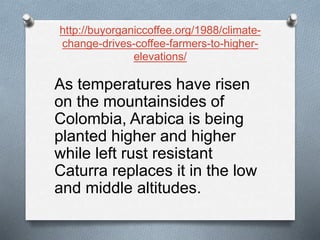 http://buyorganiccoffee.org/1988/climate-
change-drives-coffee-farmers-to-higher-
elevations/
As temperatures have risen
on the mountainsides of
Colombia, Arabica is being
planted higher and higher
while left rust resistant
Caturra replaces it in the low
and middle altitudes.
 