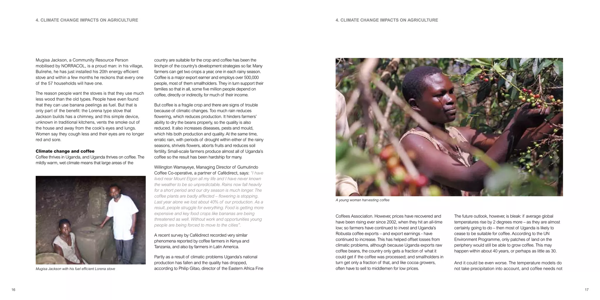 Climate Change Impact On Coffee Production Uganda