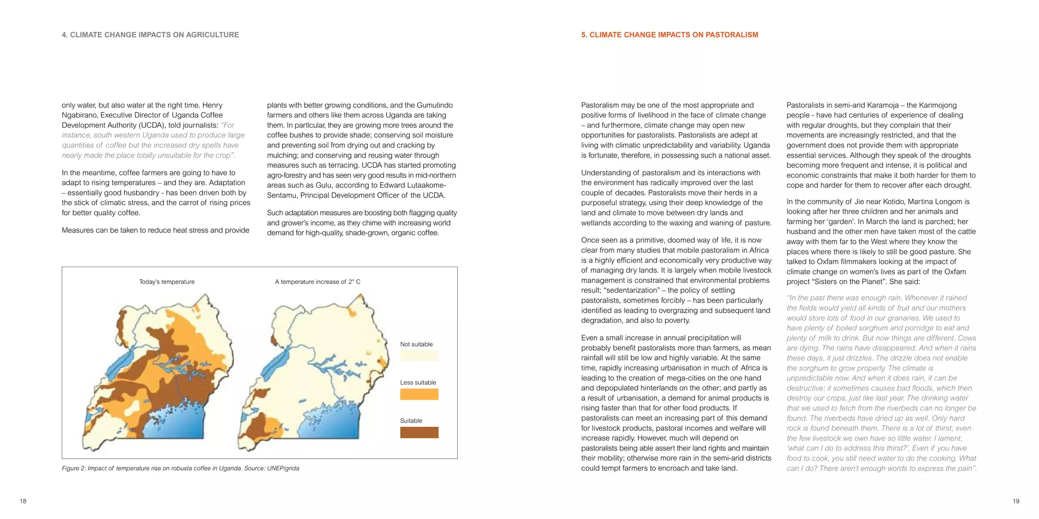Climate Change Impact On Coffee Production Uganda