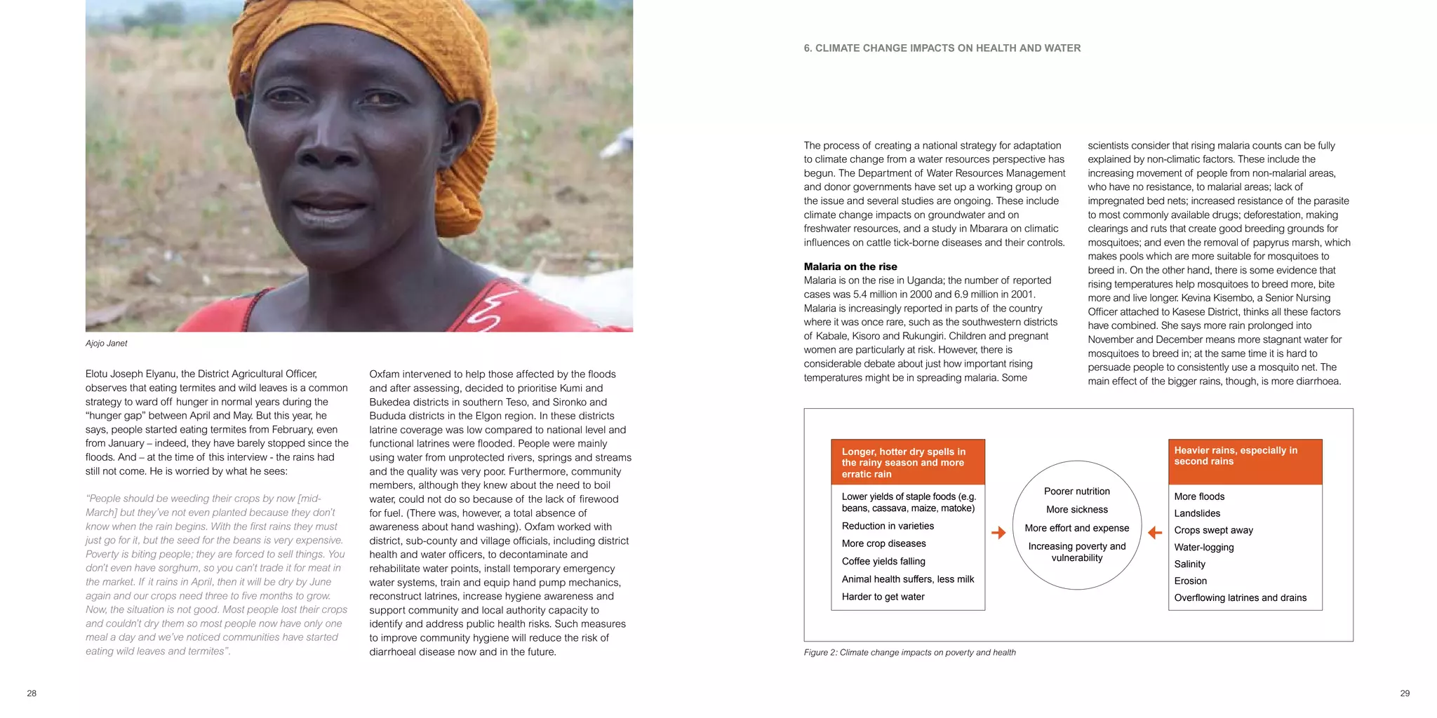 Climate Change Impact On Coffee Production Uganda