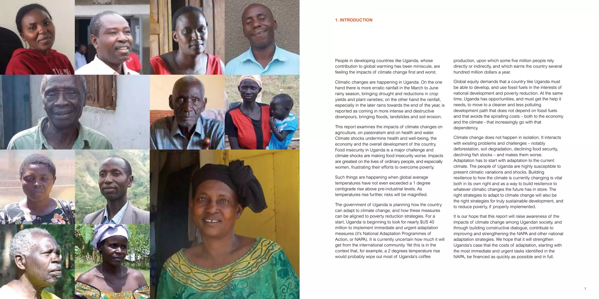 Climate Change Impact On Coffee Production Uganda