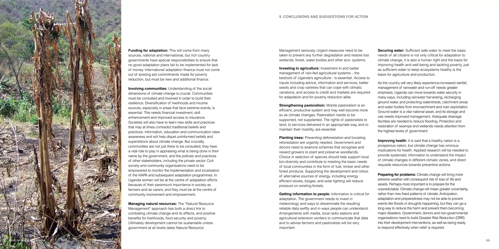 Climate Change Impact On Coffee Production Uganda