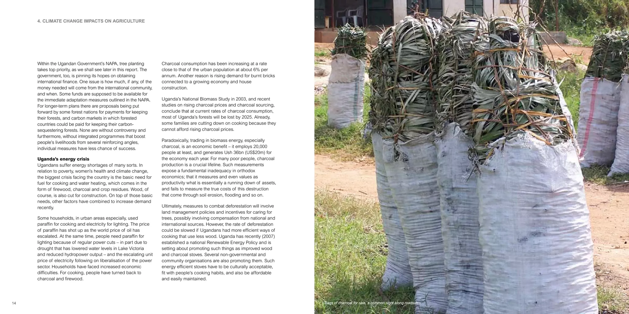 Climate Change Impact On Coffee Production Uganda