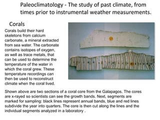 Climate Change Past Present Future | PPTX