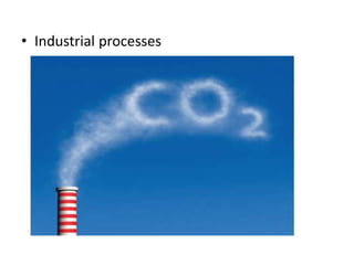 • Industrial processes
 