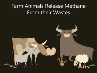 Farm Animals Release Methane
From their Wastes
 