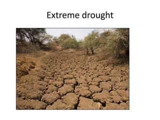 Extreme drought
 