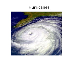 Hurricanes
 