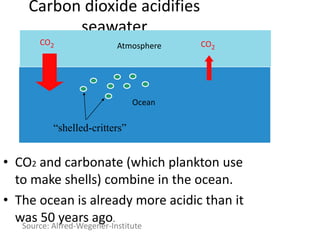 Carbon dioxide acidifies
seawater
• CO2 and carbonate (which plankton use
to make shells) combine in the ocean.
• The ocean is already more acidic than it
was 50 years ago.
Source: Alfred-Wegener-Institute
CO2 CO2
Ocean
Atmosphere
“shelled-critters”
 
