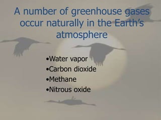 •Water vapor
•Carbon dioxide
•Methane
•Nitrous oxide
A number of greenhouse gases
occur naturally in the Earth’s
atmosphere
 