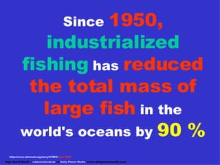 Since   1950,   industrialized fishing   has  reduced the total mass of large fish  in the world's oceans by  90 % http://...