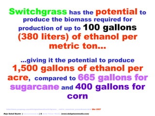 http://www.prognog.com/driving/ethanol/switchgrass:__native_american_powerhouse.html   Mar   2007 Switchgrass  has the  po...
