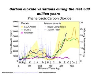   Carbon dioxide variations during the last 500 million years  
