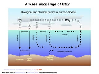 http://en.wikipedia.org/wiki/Image:CO2_pump_hg.png   Apr  2007 Air-sea exchange of CO2  