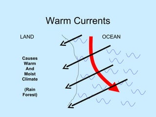 Warm Currents OCEAN LAND Causes Warm And Moist Climate (Rain Forest) 
