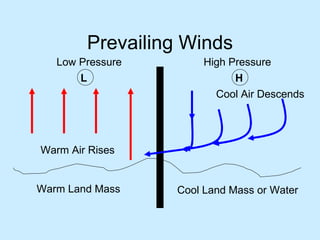 Prevailing Winds Warm Air Rises Warm Land Mass Low Pressure L Cool Air Descends Cool Land Mass or Water High Pressure H 