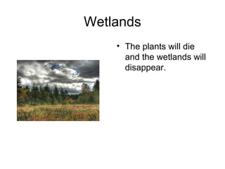 Wetlands The plants will die and the wetlands will disappear. 