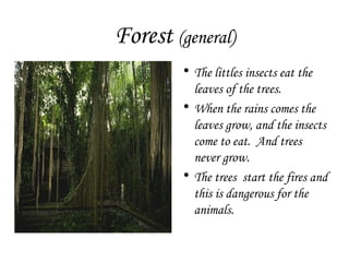 Forest  (general) The littles insects eat the leaves of the trees. When the rains comes the leaves grow, and the insects come to eat.  And trees never grow.  The trees  start the fires and this is dangerous for the animals. 