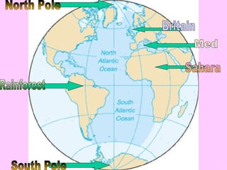 North Pole South Pole Rainforest Sahara Britain Med 