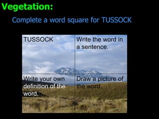 Vegetation: Complete a word square for TUSSOCK Draw a picture of the word. Write your own  definition of the word. Write the word in a sentence. TUSSOCK 