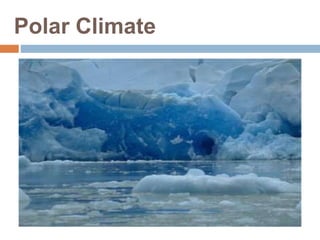Polar Climate
 