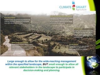 Climate smart agriculture | PDF