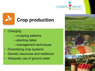 Climate smart agriculture | PDF