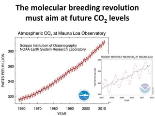 The molecular breeding revolution
  must aim at future CO2 levels
 