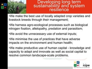 Climate smart push-pull a conservation agriculture technology for food ...
