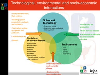 Climate smart push-pull a conservation agriculture technology for food ...